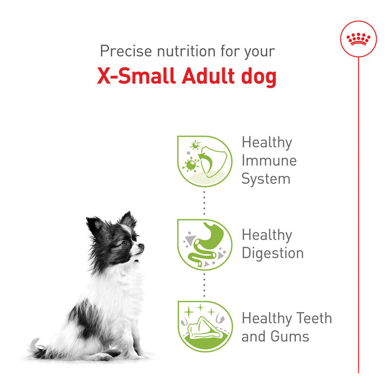 Royal Canin, Size Health Nutrition X-Small Adult - Dry Dog Food image number null