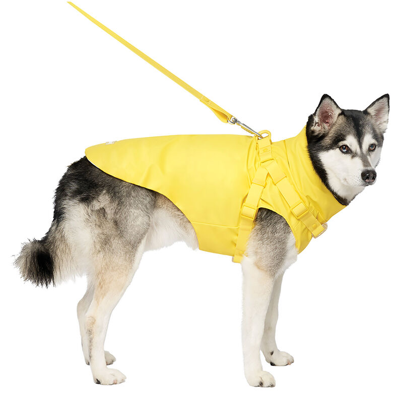 Canada Pooch, Harness Raincoat - Yellow image number null