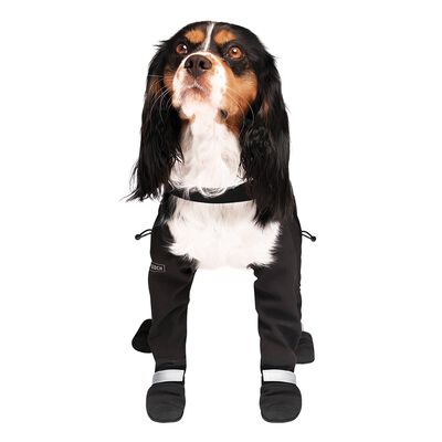 Canada Pooch, Suspender Boots - Black - Long