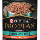 Pro Plan, Can, Puppy - Development-Chicken & Rice Pate-368 g - Wet Dog Food image number null