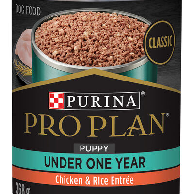 Pro Plan, Can, Puppy - Development-Chicken & Rice Pate-368 g - Wet Dog Food