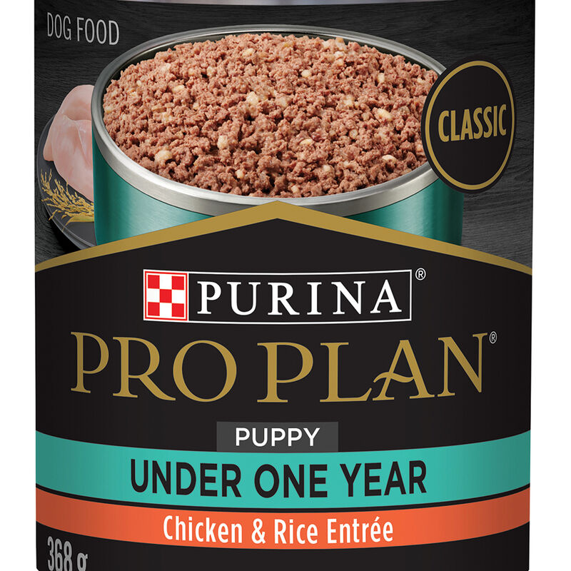 Pro Plan, Can, Puppy - Development-Chicken & Rice Pate-368 g - Wet Dog Food image number null