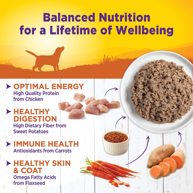 Wellness, Canned Dog Food, Turkey & Sweet Potato - Wet Dog Food image number null