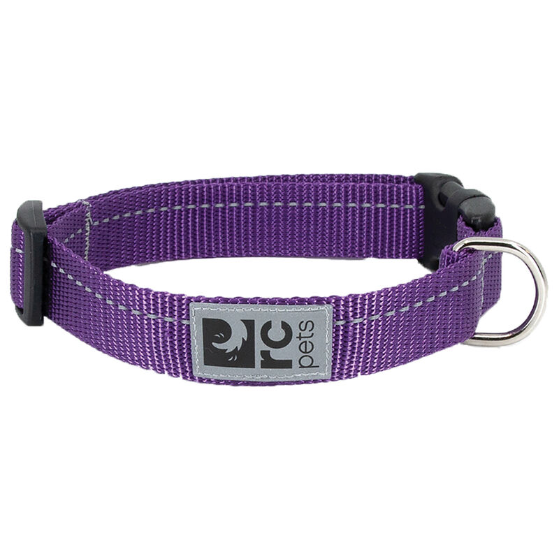RC Pets, Primary Clip Collar - Purple - Dog Collar image number null