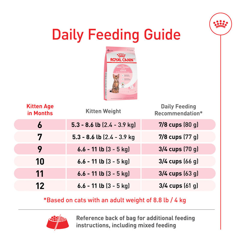 Royal Canin, Feline Health Nutrition Kitten Spayed / Neutered - Dry Cat Food image number null