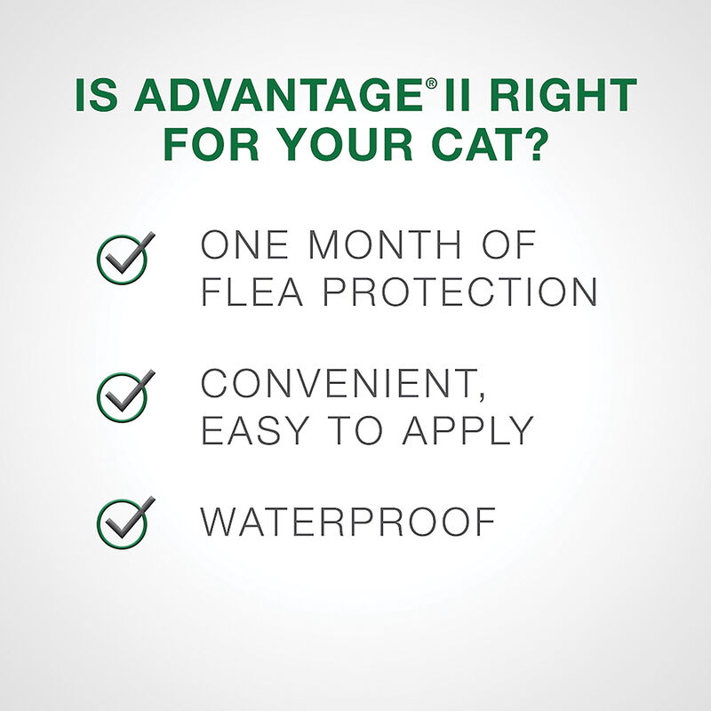 Advantage II, Kitten - <2.3 kg image number null