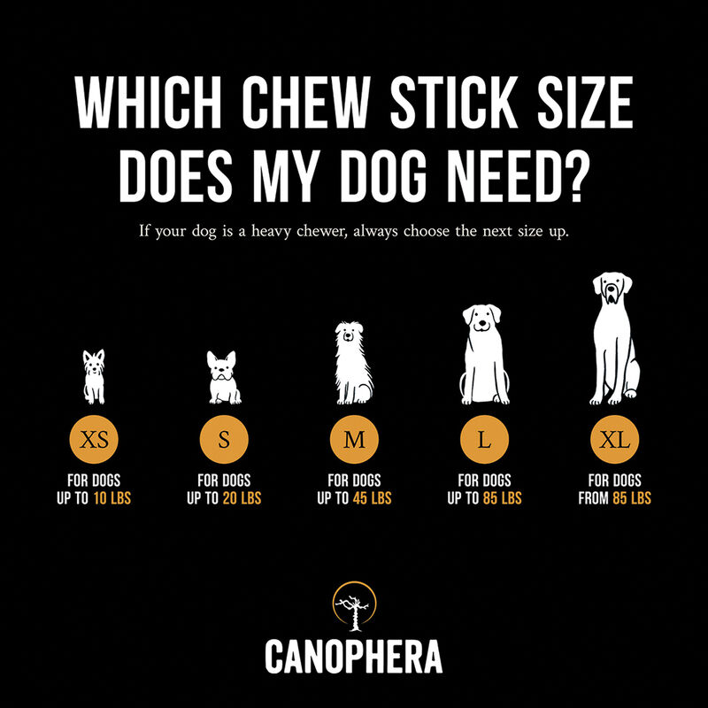 Canophera, Chew Stick - Coffee Wood image number null