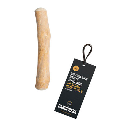 Canophera, Chew Stick - Coffee Wood