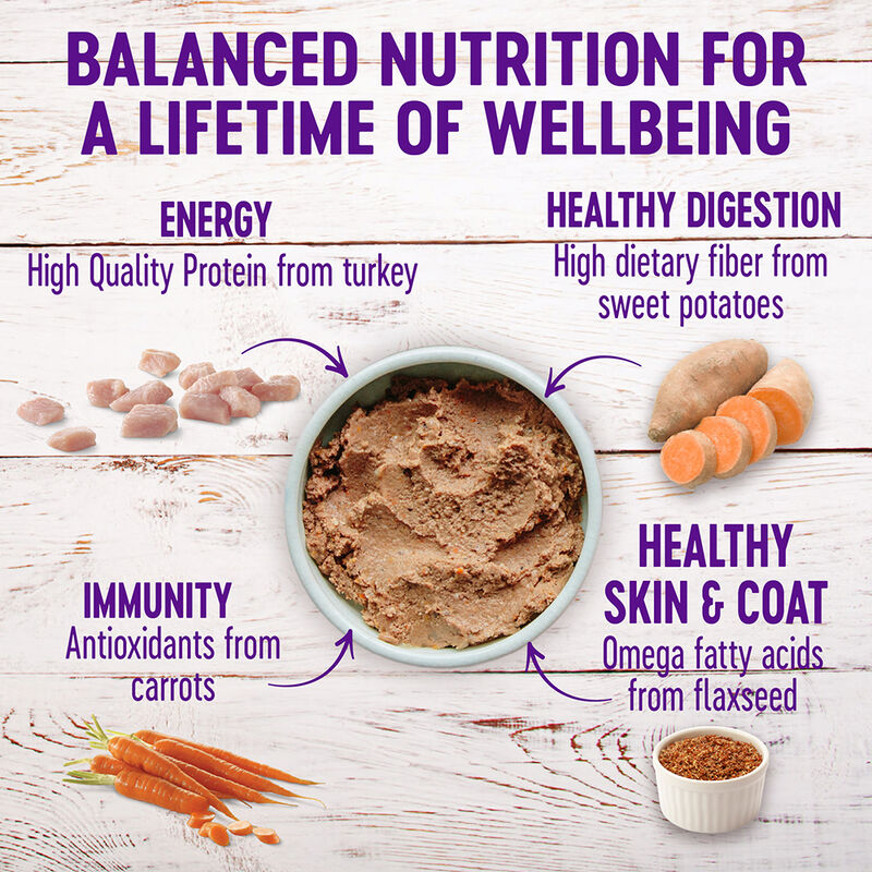 Wellness, Canned Dog Food, Complete Health, Turkey & Sweet Potato - Wet Dog Food image number null