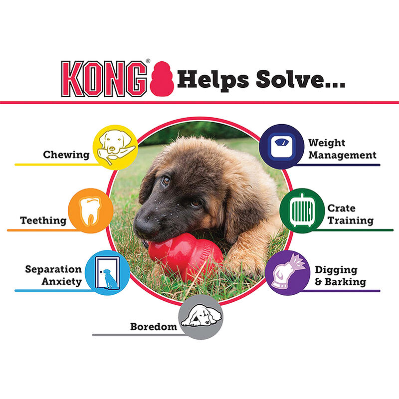 KONG, Puppy - Classic - Chew Dog Toy image number null
