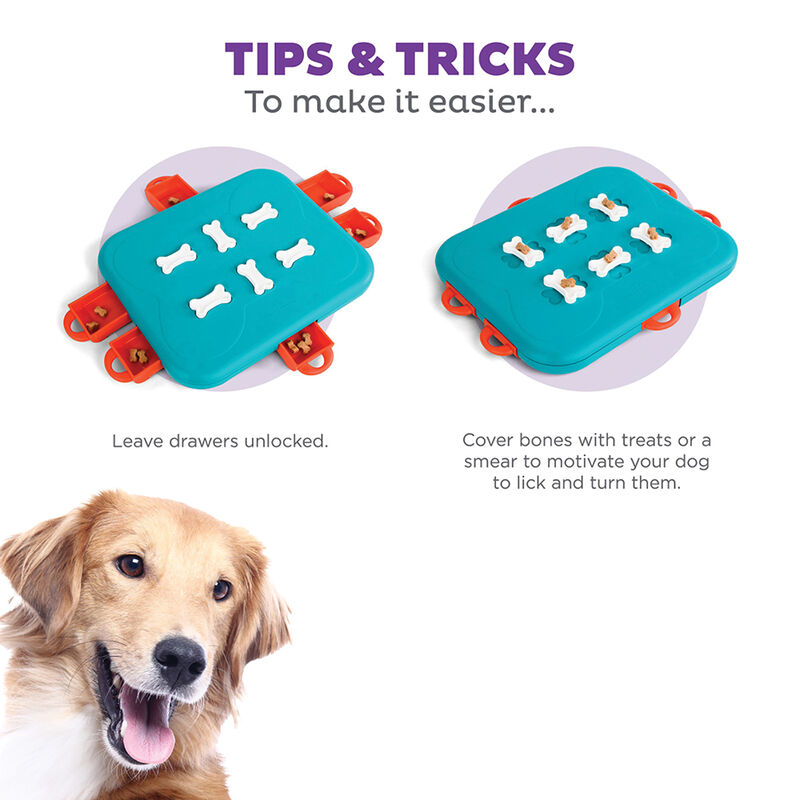 Outward Hound, Nina Ottosson, Dog Casino Treat Puzzle - Turquiose image number null