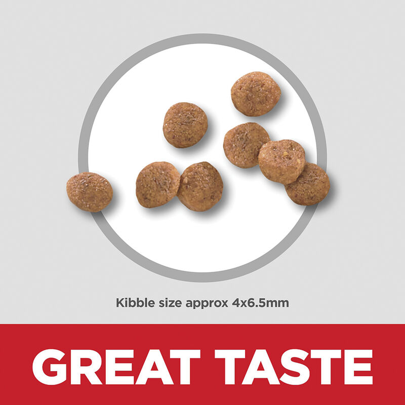Science Diet, Puppy Small Paws Chicken Meal, Barley & Brown Rice Recipe Dry Dog Food, 2.04 kg - Dry image number null