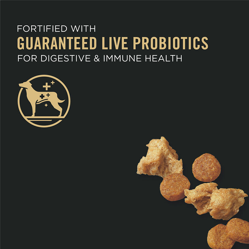 Purina Pro Plan Development Under One Year Puppy, Shredded Blend, Chicken & Rice Dry Dog Food Formul image number null
