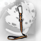 Kurgo, Direct To Seatbelt Tether image number null