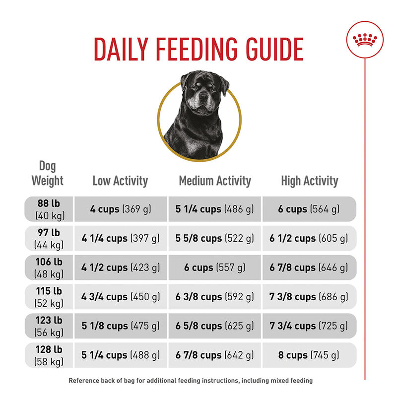 Royal Canin, Breed Health Nutrition Rottweiler Adult - Dry Dog Food image number null