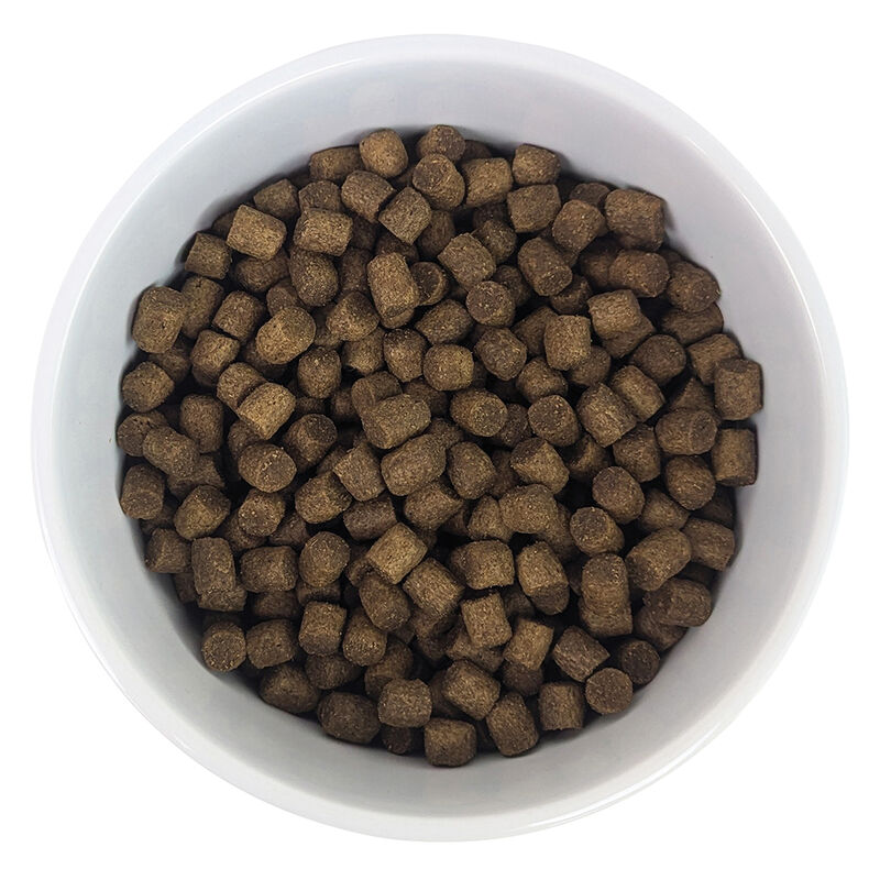 BeOneBreed, Ceramic and Silicone Bowl - Blue image number null