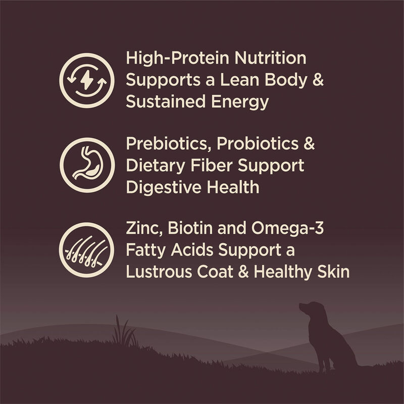 Wellness, Core, Grain Free Wild Game - 9.98 kg - Dry Dog Food image number null