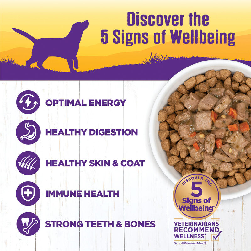 Wellness, Canned Dog Food, Chunks & Gravy, Lamb & Beef Stew with Brown Rice & Apples - 12.5 oz - Wet image number null