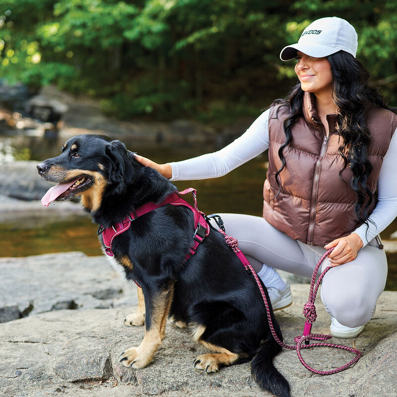 BeOneBreed, Paracord Harness - Burgundy image number null