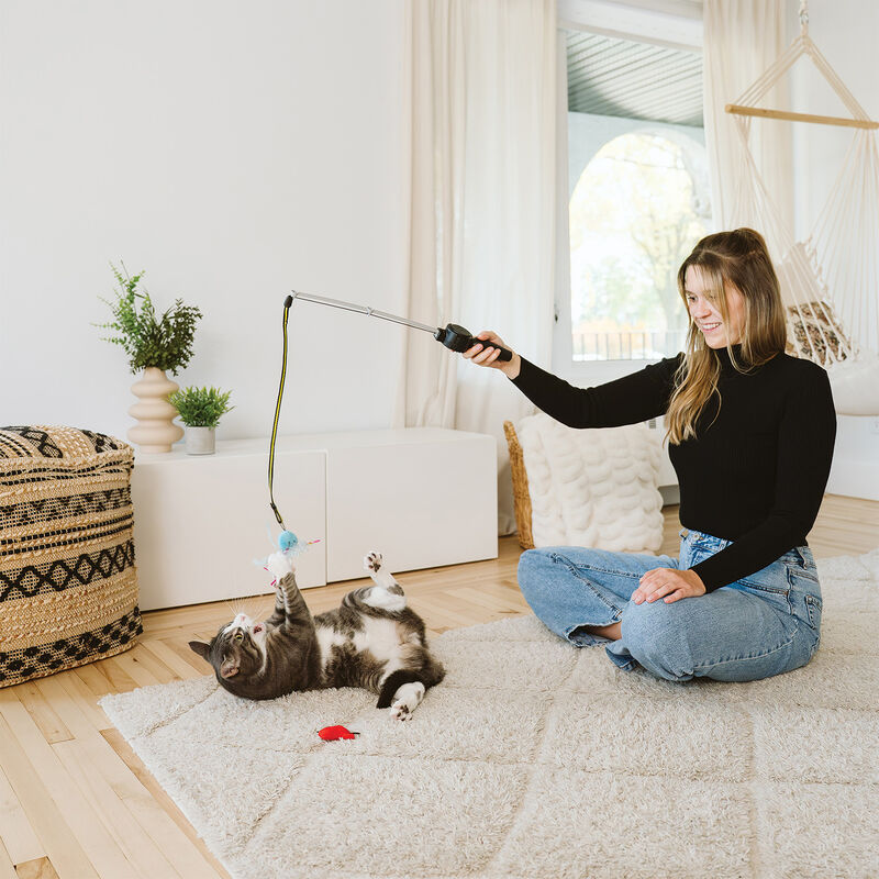 BeOneBreed, Cat Teaser Lures - Curious Bundle image number null