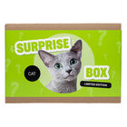 Surprise Box - Cat image number null