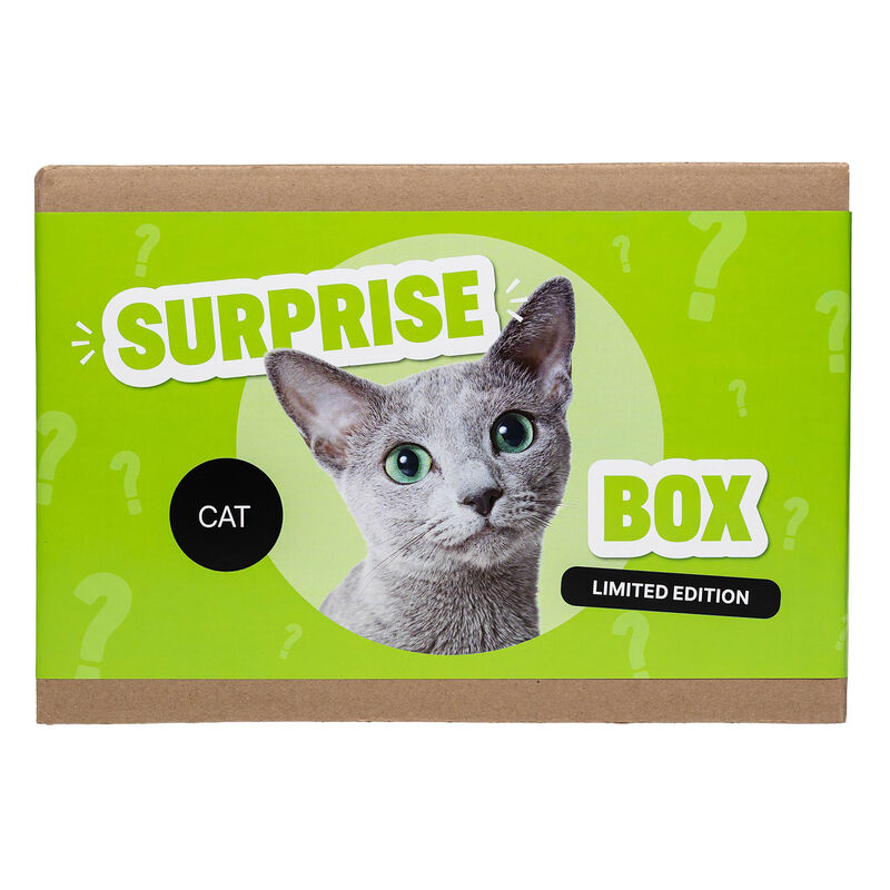 Surprise Box - Cat image number null