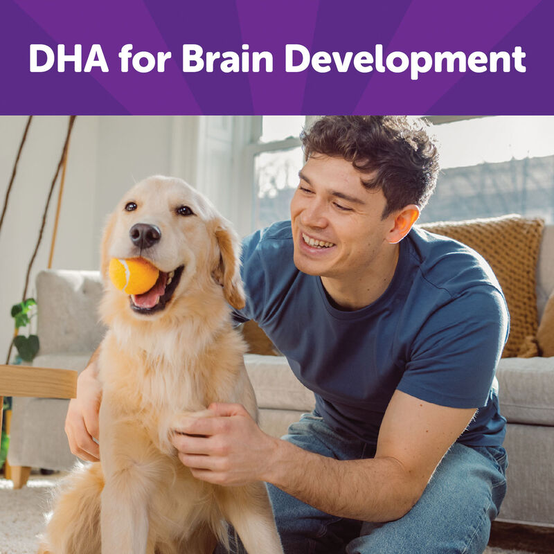 Wellness, Wellbites, Turkey & Duck Soft Dog Treats - 6 oz - Dog Treat image number null