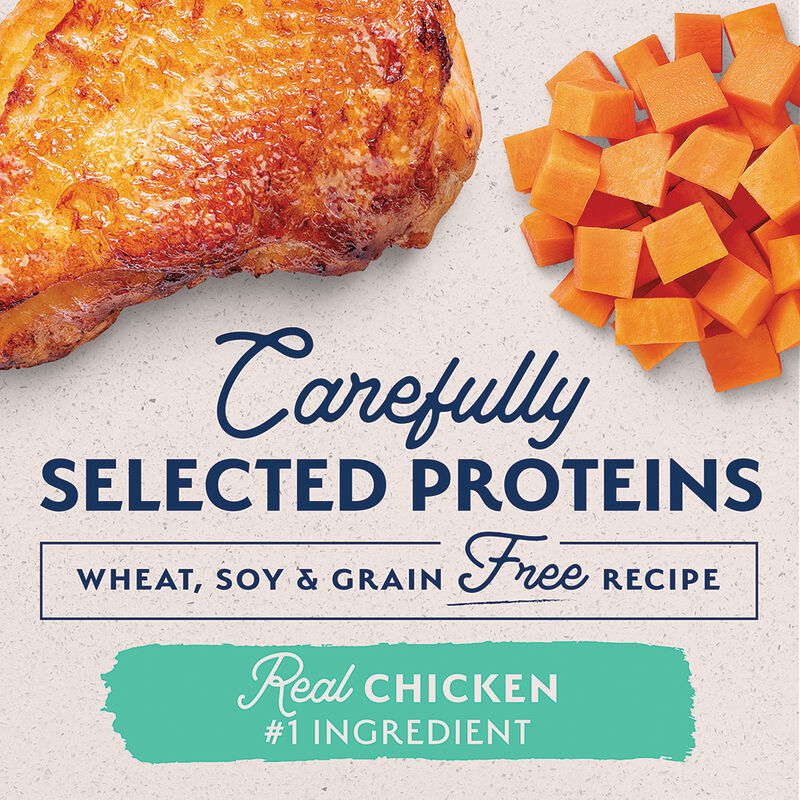 Natural Balance, Adult LID Chicken & Sweet Potato - 369 g - Wet Dog Food image number null