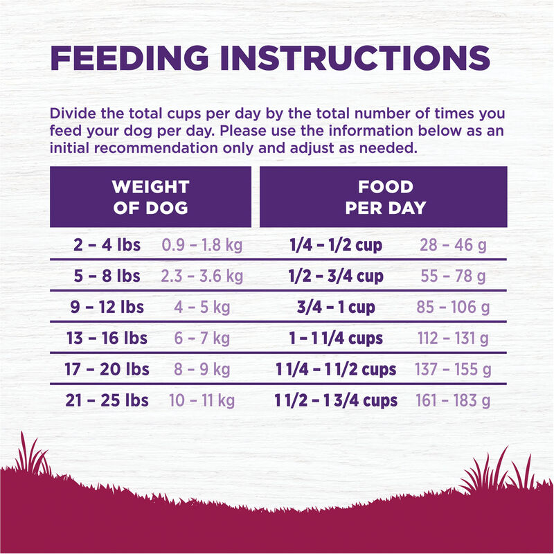 Wellness, Complete Health Small Breed, Turkey & Oatmeal - Dry Dog Food image number null