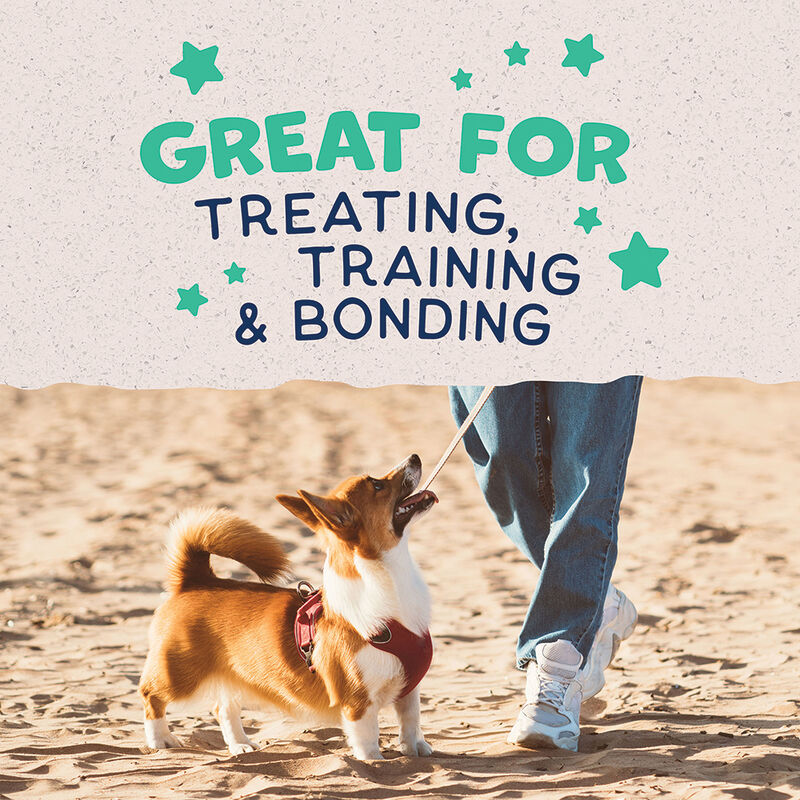 Natural Balance, Limited Ingredient Dog Treats Small Breed, Potato & Chicken - 227 g - Dog Biscuit image number null