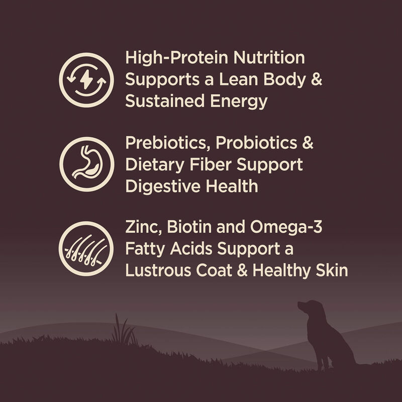 Wellness, Core, Grain Free Original - Dry Dog Food image number null