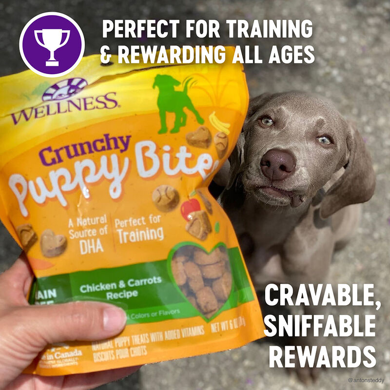 Wellness, Just for Puppy, Chkn&Carrots Crunchy Treats - 6 oz - Dog Treat image number null