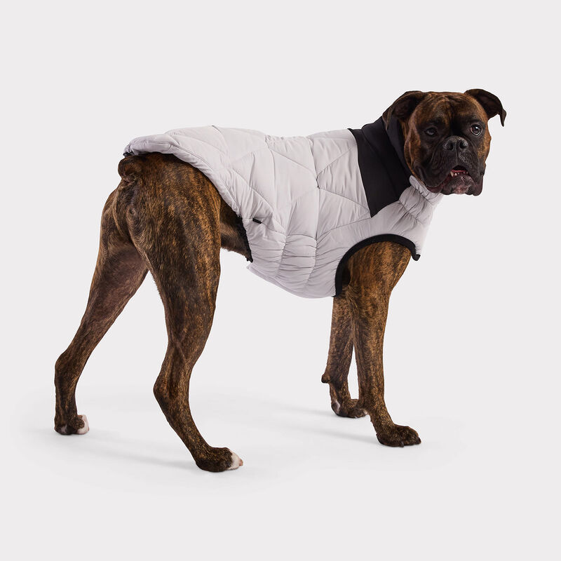 GF Pet, Diamond Puffer - Grey image number null