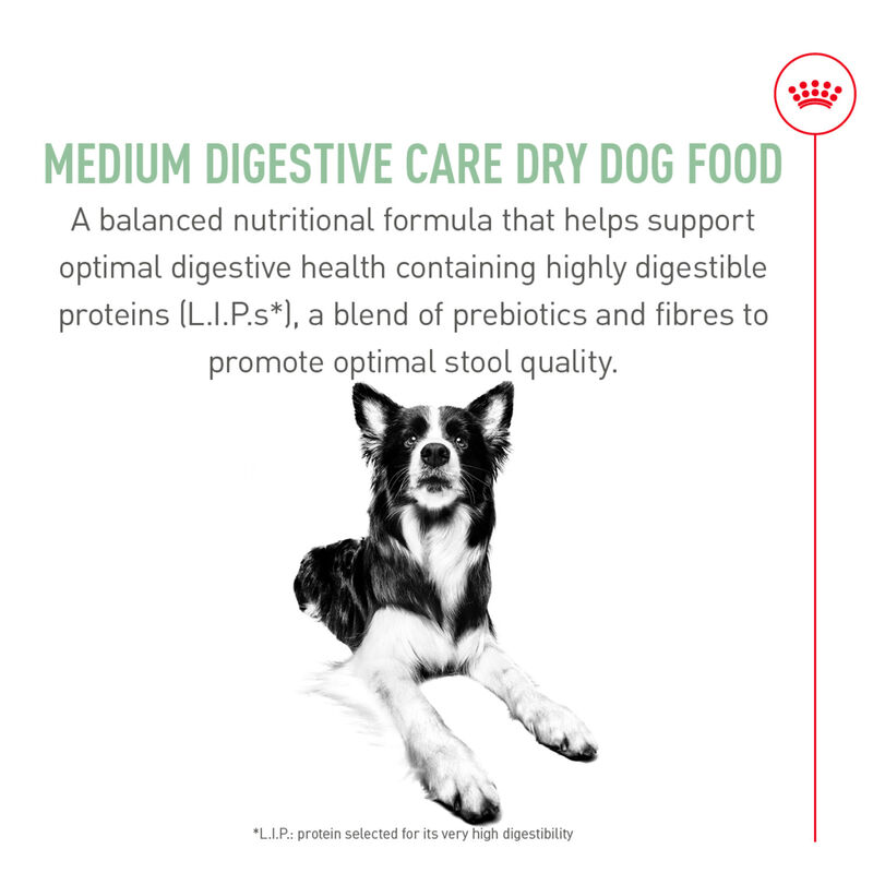 Royal Canin, Size Health Nutrition Medium Digestive Care - Dry Dog Food image number null