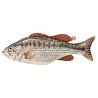 SPOT, Hug N Kick Fanatic Fish - Assorted image number null