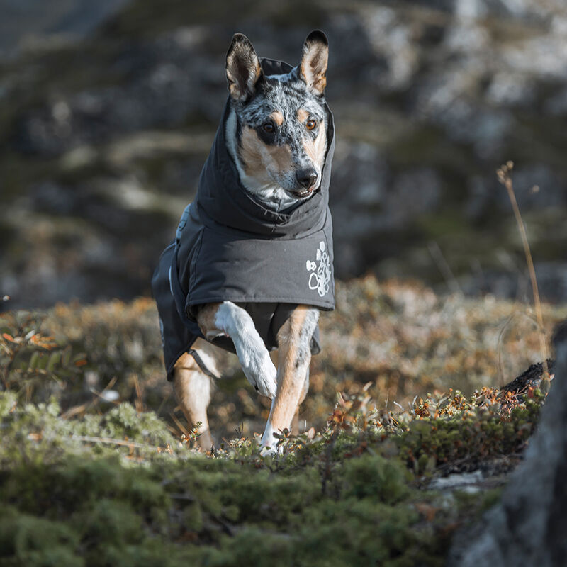 Hurtta, Extreme Warmer 2 - Blackberry image number null