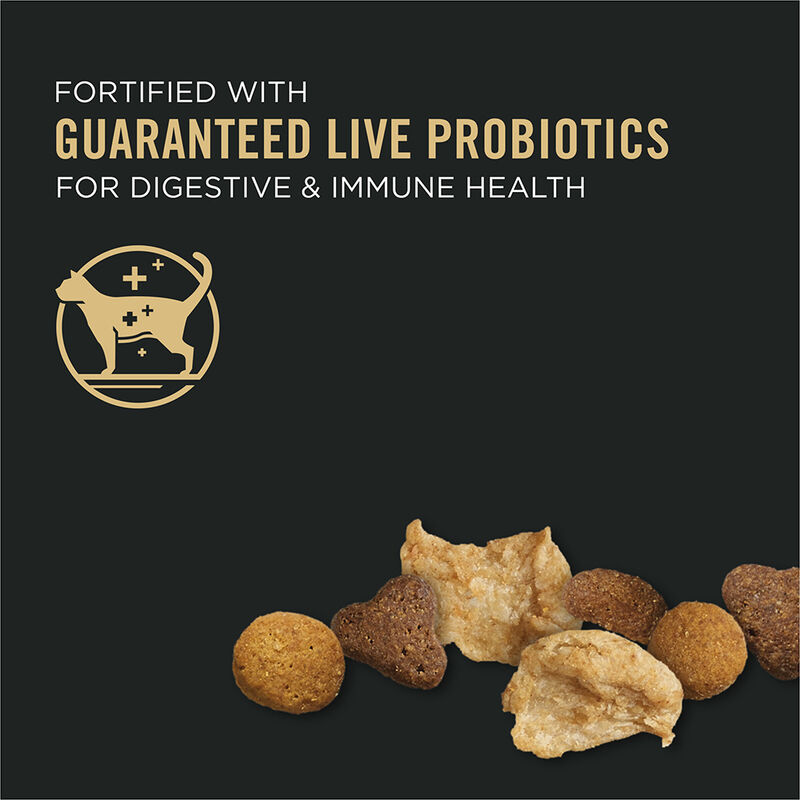 Purina Pro Plan Development Under One Year Kitten, Chicken & Rice Formula Dry Cat Food image number null