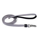 Dog Leash, Grey, Medium/Large - 1" x 6' image number null
