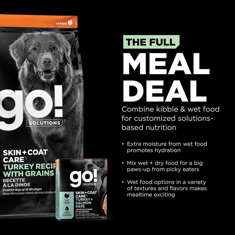 GO! SOLUTIONS, SKIN + COAT CARE Turkey Recipe With Grains for dogs - Dry Dog Food image number null