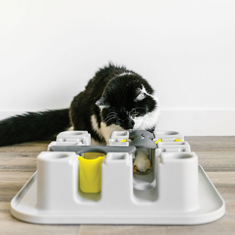 BeOneBreed, Cat Maze Interactive Feeder image number null