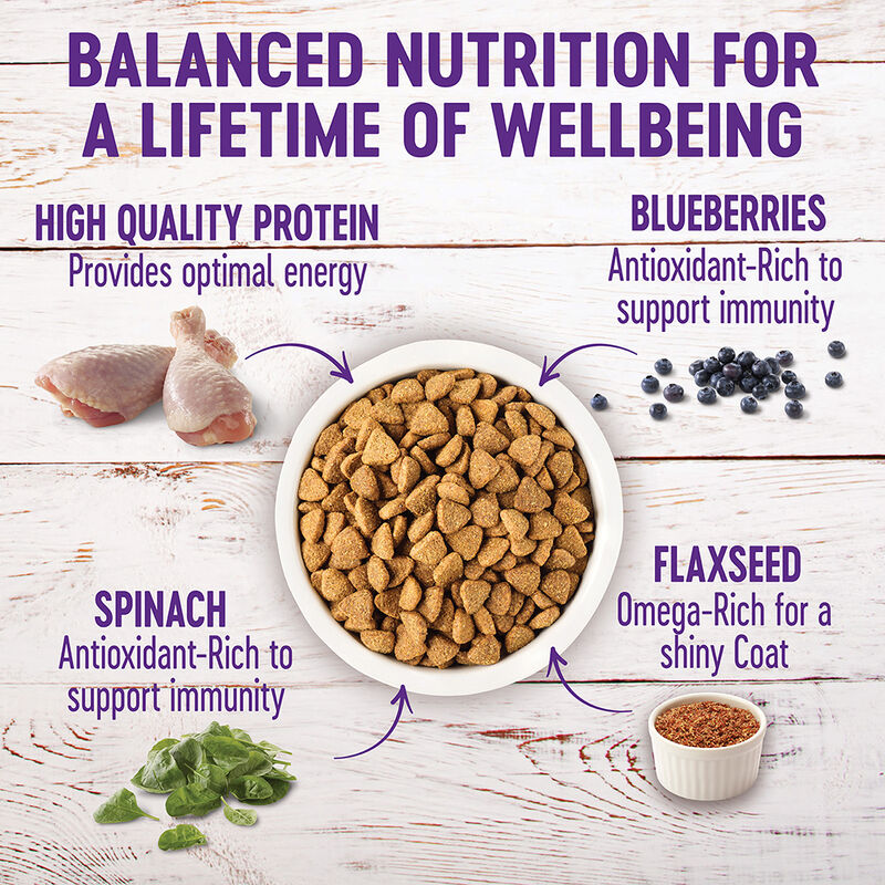 Wellness, Large Breed Complete Health, Deboned Chicken, Brown Rice - Dry Dog Food image number null
