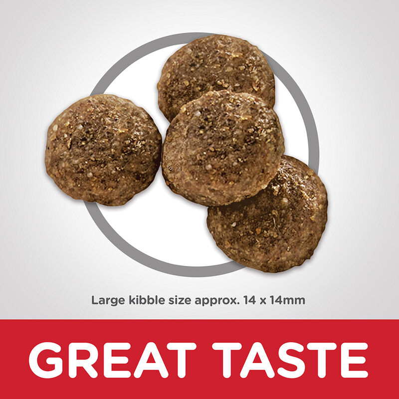 Science Diet, Adult Dog Large Breed Lamb & Brown Rice image number null