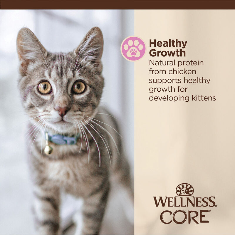 Wellness, Pouch, Kitten - Core Grain Free Tiny Tasters Chicken Recipe Pate - 50g - Wet Cat Food image number null