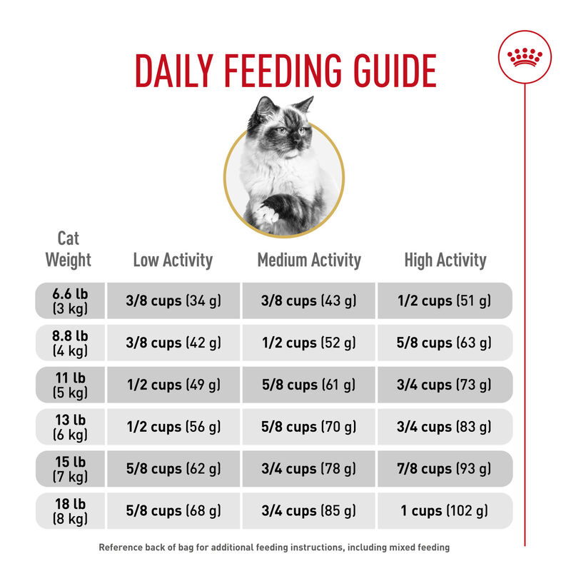 Royal Canin, Feline Breed Nutrition Ragdoll - Dry Cat Food image number null