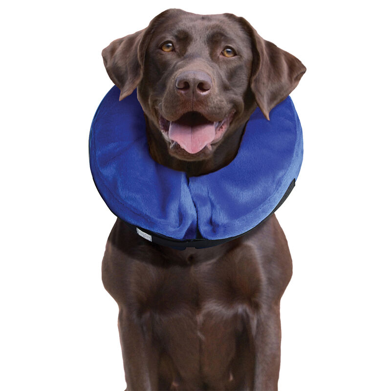 KONG, Cloud Collar - Dog First Aid image number null