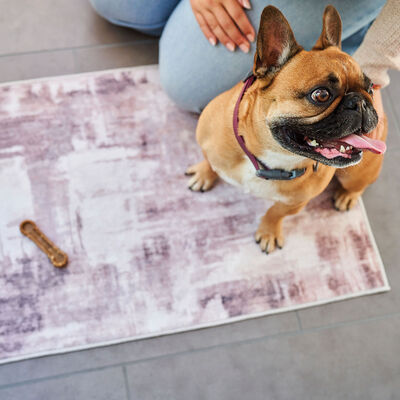 Brigade, Washable Pet Rug - Beige Abstract - 20x30"