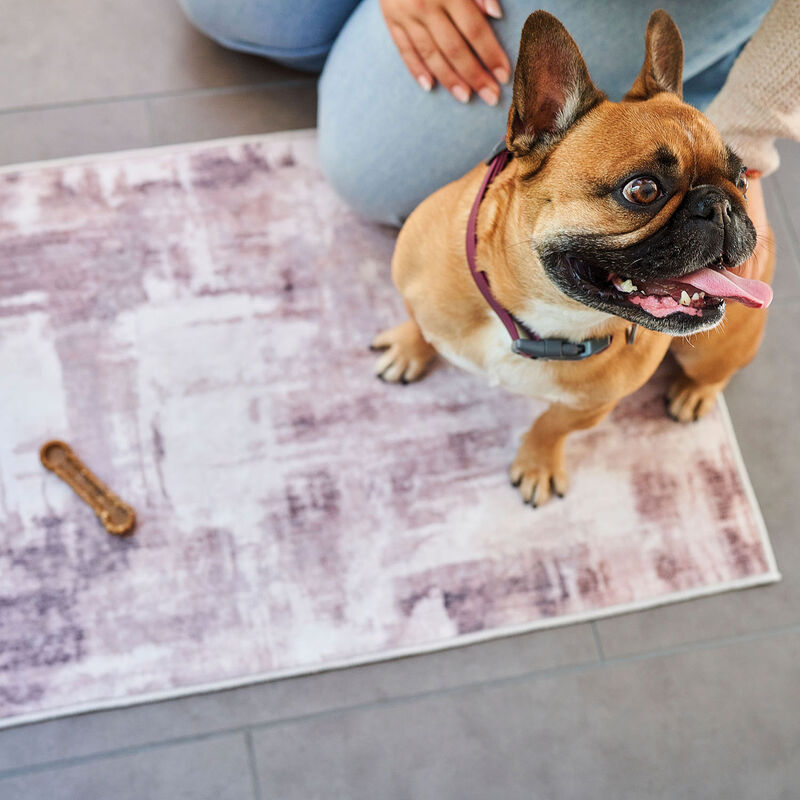 Brigade, Washable Pet Rug - Beige Abstract - 20x30" image number null