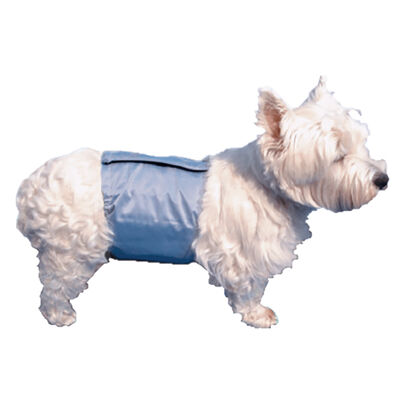 Pooch Pad, PoochPants - Male Wrap - Small - 12 - 15"