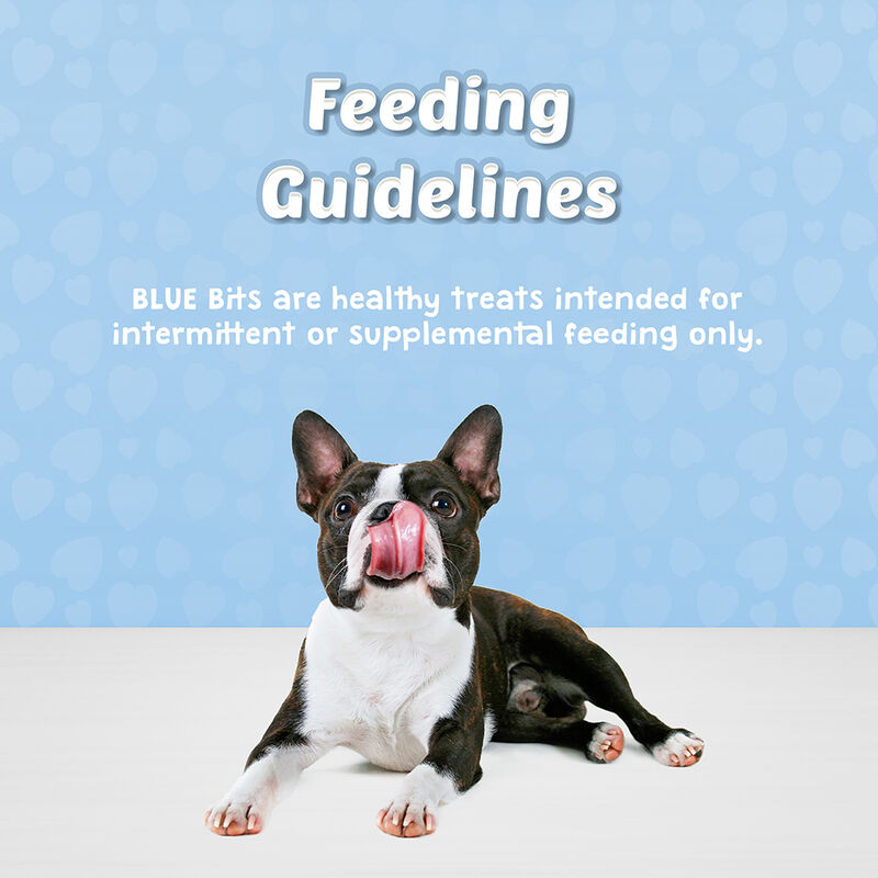 Blue Buffalo, Blue Bits - Salmon Soft Treats - 113 g - Dog Treat image number null