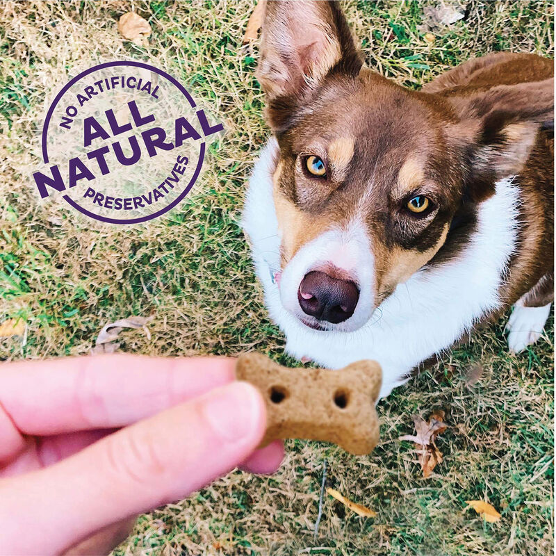 Old Mother Hubbard, Grain Free - P'Nuttier 'N Nanners - Mini - 454 g image number null